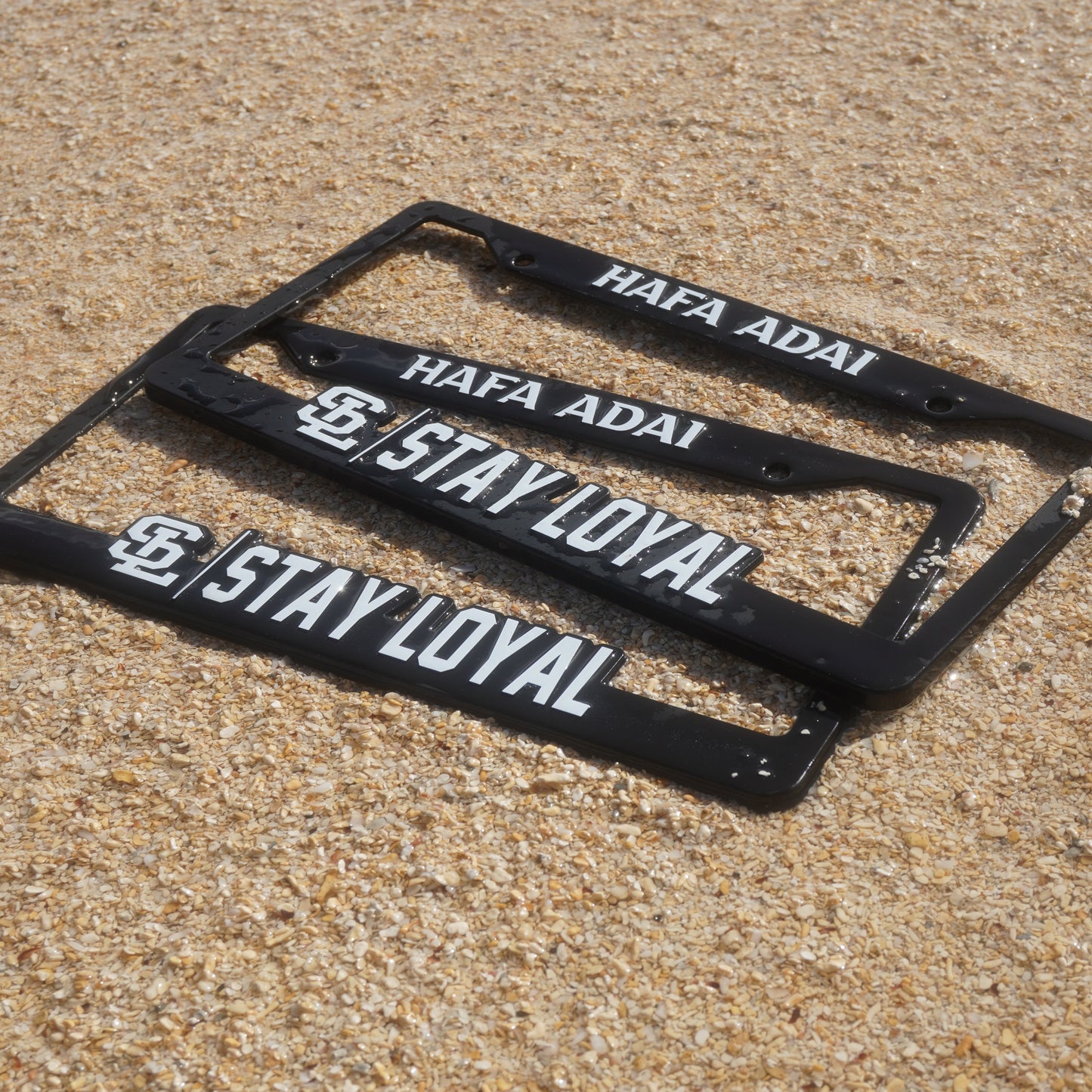 SL LICENSE PLATE FRAMES
