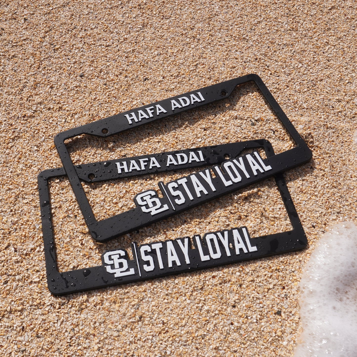 SL LICENSE PLATE FRAMES